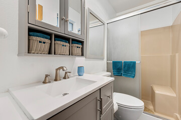 an interior view of a home bathroom