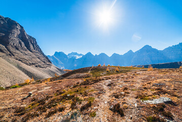 Sunny Skies And Alpine Views