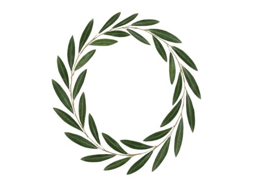 オリーブが描く優雅なフレーム　自然の対話が生んだ、繊細で調和のとれたかたち