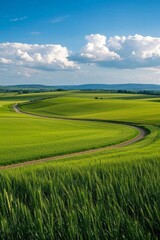 Fototapeta premium a green field with a winding road in the middle