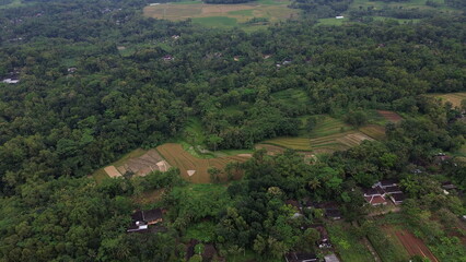 Lush Tropical Countryside Landscape in Indonesia