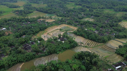 Lush Tropical Countryside Landscape in Indonesia