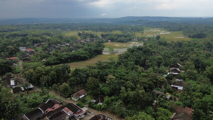 Lush Tropical Countryside Landscape in Indonesia