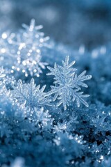 snow flakes are on the ground covered in blue