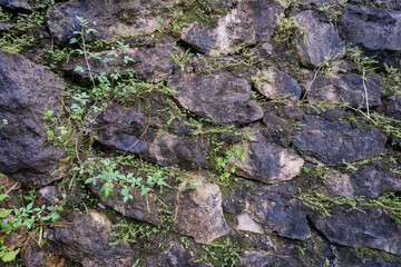 abstract stone arrangement with moss plants