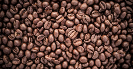 Fototapeta premium Freshly roasted coffee beans fill the frame. Classic background view from above. Premium background for coffee processing products.