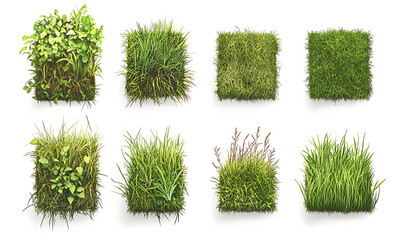 illustrations of various trees, leaves, grasses, and botanical elements on white background.