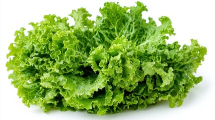 Fototapeta premium Lettuce isolated on white background