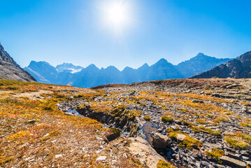 High Alpine Tundra With Beautiful Mountains