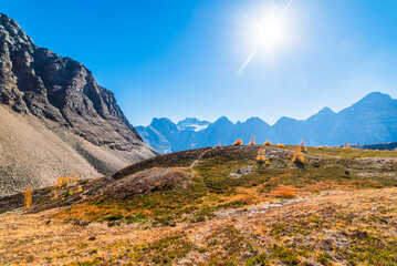 Sunny Autumn Day In Banff National Park