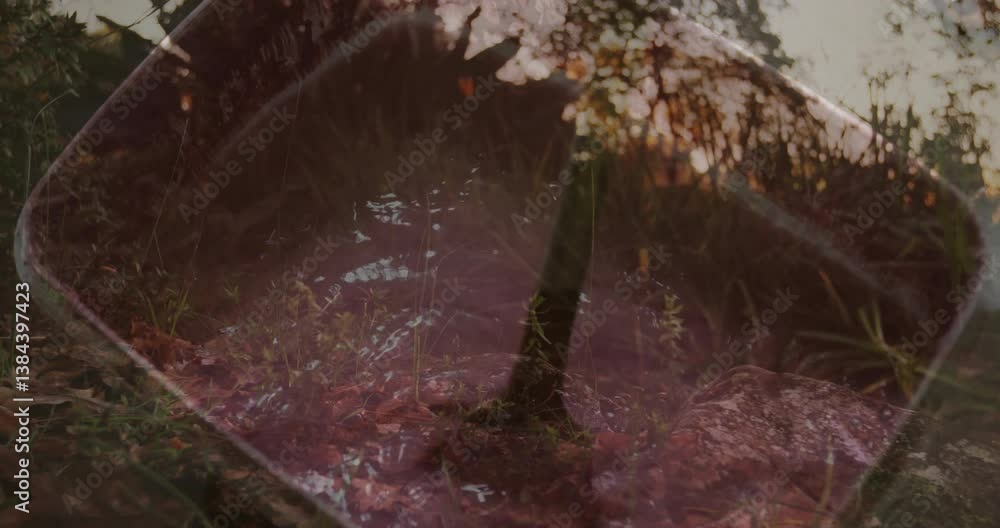 Aufkleber abstract animation overlaying tree trunk and foliage with forest reflections