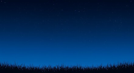Starry Night Sky with Grass Silhouette at Twilight for Stunning Landscapes