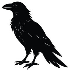 Fototapeta premium Raven Silhouette Vector, Gothic Bird, Black Crow Design
