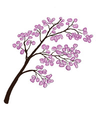 Illustration of a branch of a sideways cherry tree, decorated with soft pink flowers, creating an elegant view that symbolizes the beauty of spring.