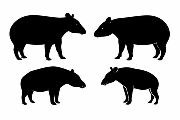 set of Tapir silhouette vector illustration