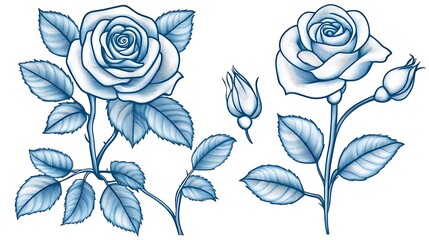 Elegant Blue Roses Floral Design Elements.