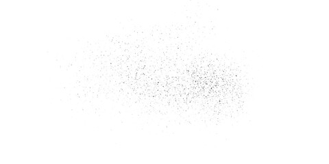 Grunge grain scratched texture vector black and white ddist  particle and dust grain on white background. 