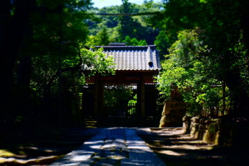 鎌倉五山第三位の古刹、寿福寺の苔むした石畳の参道を歩く	
