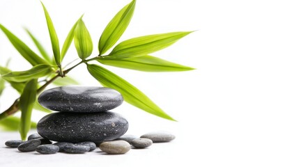 Bamboo screens isolated on white background