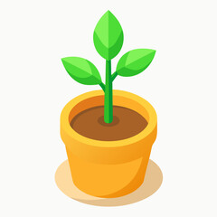 green plant in pot
