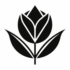 black and white leaves