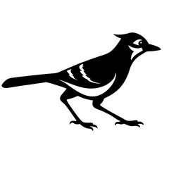 bird silhouette vector