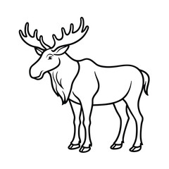 Obraz premium Wild animal deer outline vector illustration with antlers