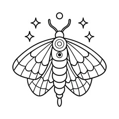 Fototapeta premium Abstract butterfly vector illustration insect with decorative wings design