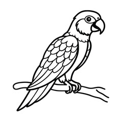 Fototapeta premium vector illustration outline parrot on a branch