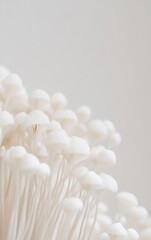 A close-up photograph of white enoki mushrooms against a light gray background, with blank space at the top and bottom for text. The composition is symmetrical, focusing on one side of the image. 