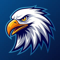 Fototapeta premium american bald eagle head vector