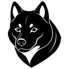 Fototapeta premium black and white wolf