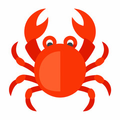 crab isolated on white background
