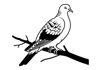 sketch of a bird