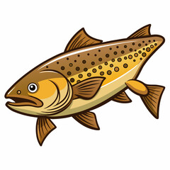 fish isolated on white