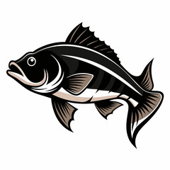 fish on a white background