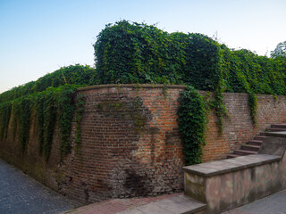 Wide shot of an ancient brick wall and green hedge in ivano-frankivsk town