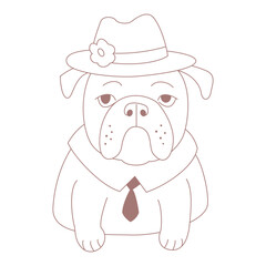 A bulldog in a hat. The bulldog is dressed in a shirt and tie. The bulldog is linear on a white background.
