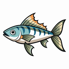 fish on a white background