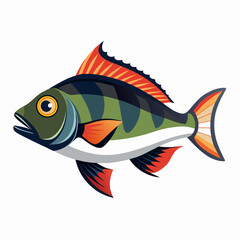 fish on a white background