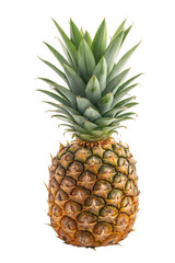 Fototapeta premium Spiky and Sweet: The Fresh Pineapple Experience