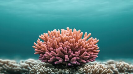 Vibrant coral thriving in clear tropical waters captured in ultra realistic underwater close up. World Reef Awareness Day
