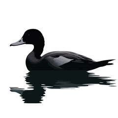 Duck Silhouette in Water