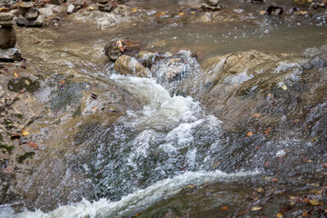 a small stream and its rocky bottom, slow flowing water