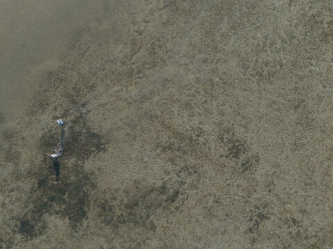 Two fishermen are casting a net, the seawater appears to be receding