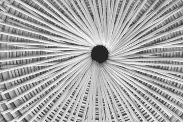 Obraz premium Rattan texture seamless patterns white grey background