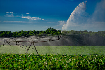 Irrigation system in function watering agricultural plants. Sprinklers irrigation watering summer...