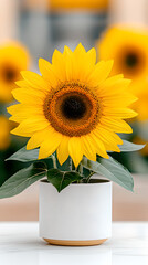 Obraz premium Vibrant Yellow Sunflower in Speckled Pot