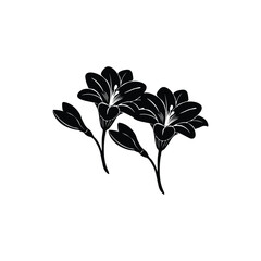 Black flower silhouette 