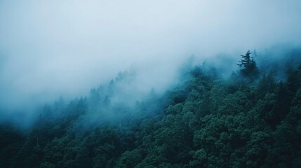 Misty Woodlands: Ethereal Forest Scene with Clouded Mountain Peaks